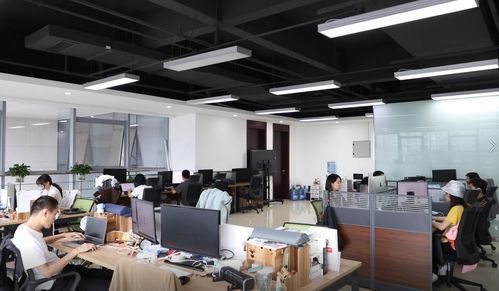 筑夢(mèng)成都 歸來(lái)仍少年 公園城市里的創(chuàng)業(yè)青年有話說(shuō)